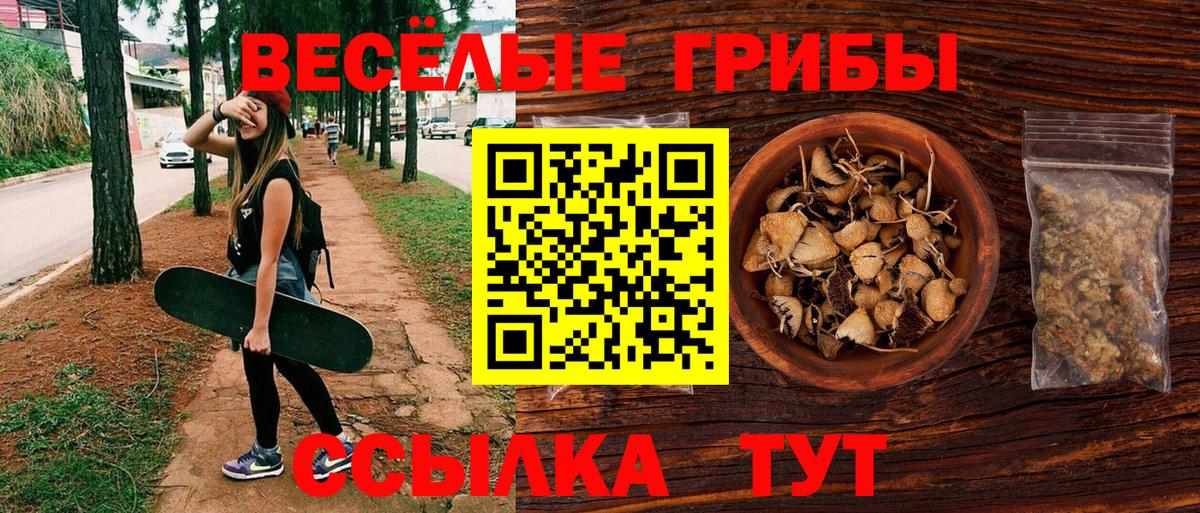 Псилоцибиновые грибы мухоморы  Псилоцибиновые грибы MAGIC MUSHROOMS  Вход с VPN  Бахчисарай 